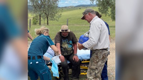   Man survives 18 days lost in Australian bush, eating mushrooms and drinking dam water